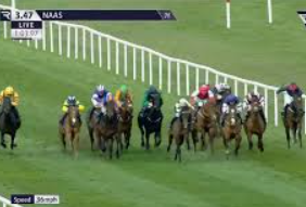 การเลือกสนามแข่งม้า ใน ufabet: เทคนิคและวิธีวิเคราะห์เพื่อชนะเดิมพัน