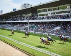 เทคนิคจับม้ารอง ufabet พลังแห่งกลยุทธ์เดิมพันม้าแข่งที่ทำกำไรได้จริง